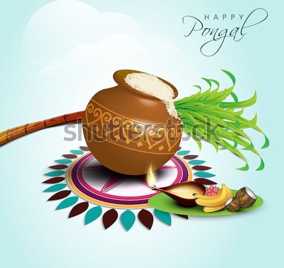 Pongal festival celebrated by tamil people world wide